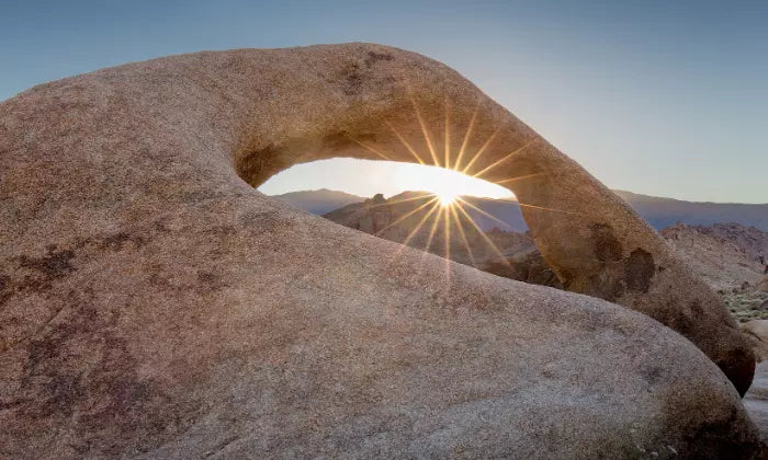 2.The Cycle of Growth