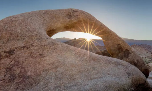 2.The Cycle of Growth