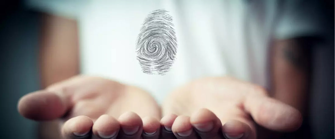 4.Decoding Your Core Element